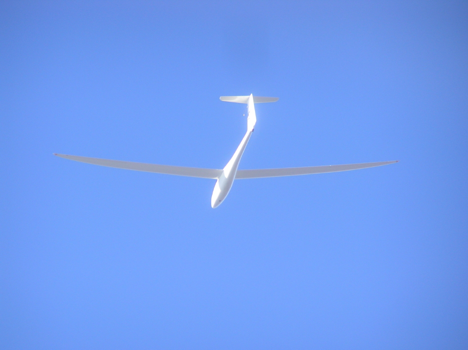 Snowbird_1.jpg