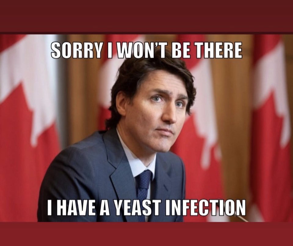 turdo infection.jpg