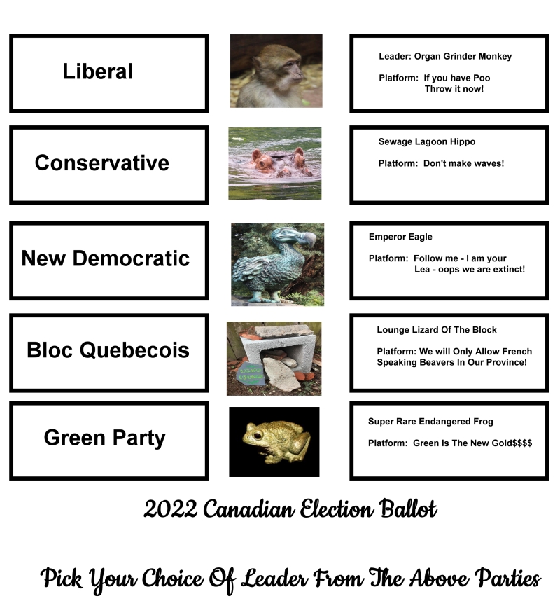 2022 vote-LR.jpg