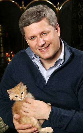 stephen-harper-kitten.jpg