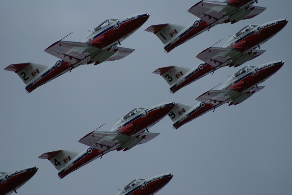 Snowbirds.jpg