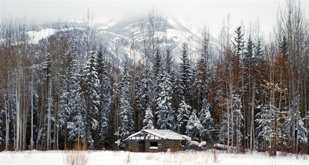 nahanni cabin2 (Large).jpg