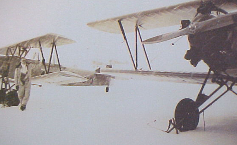 Finch 4510.jpg