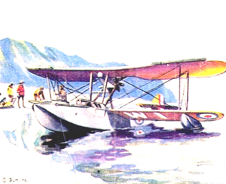 Vickers Vedette painting.jpg