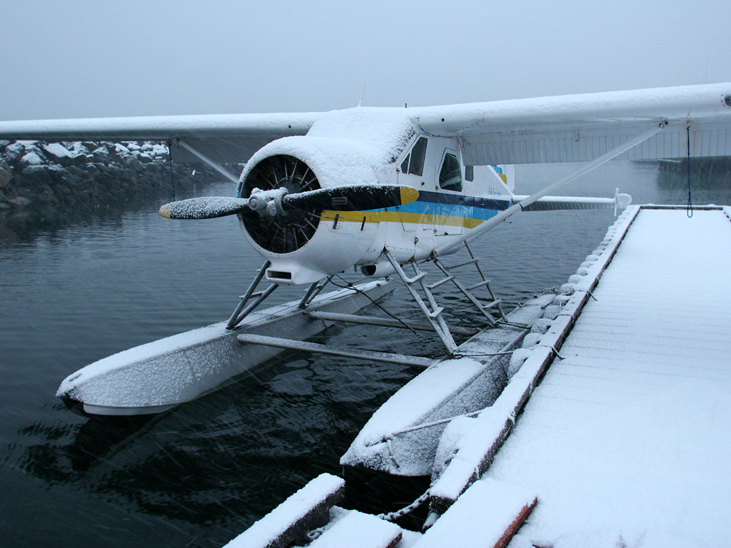 _MG_9849.jpg